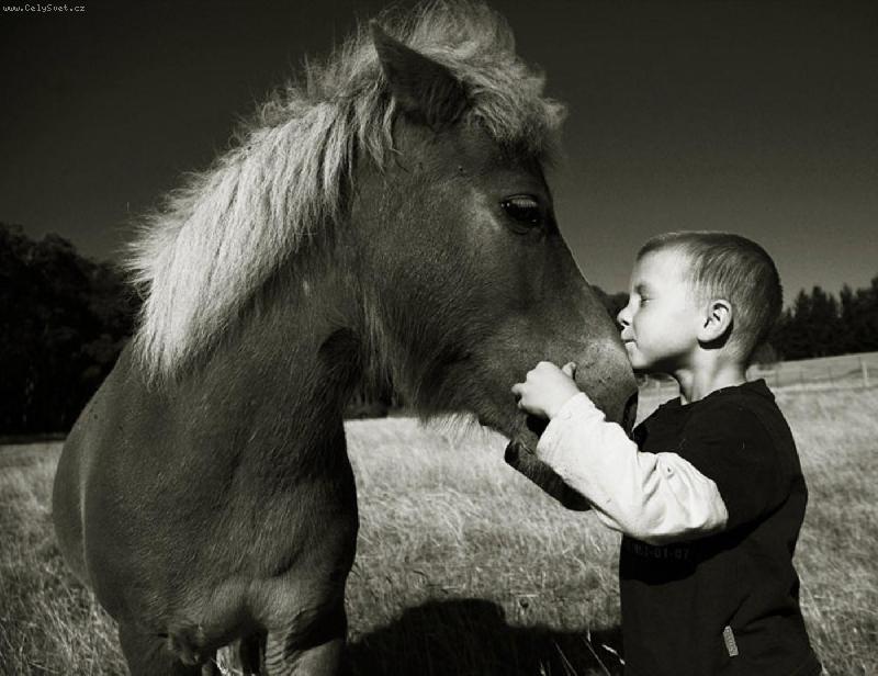 Foto: p��telstv�