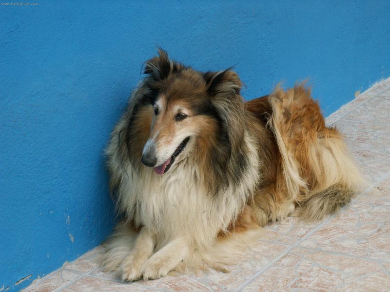 Foto: ...a te� si mn� vyfo�te...