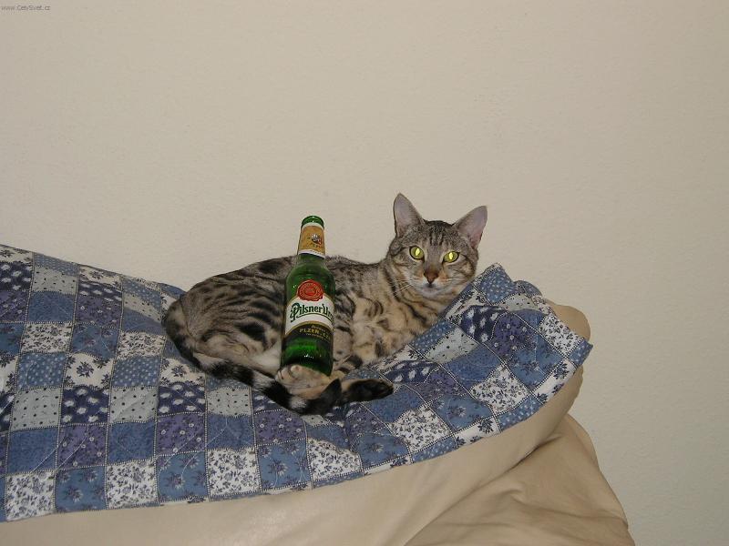 Foto: Boogie-To byl zase den...