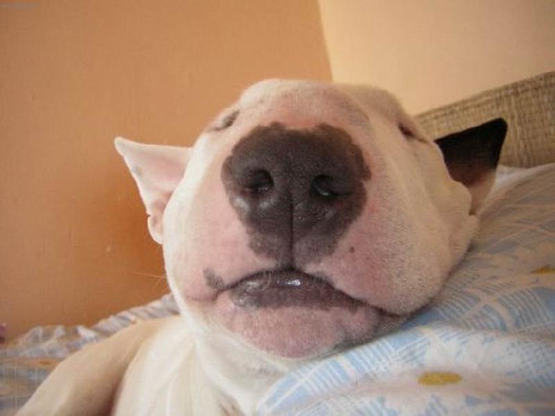 Foto: ryp��ek...