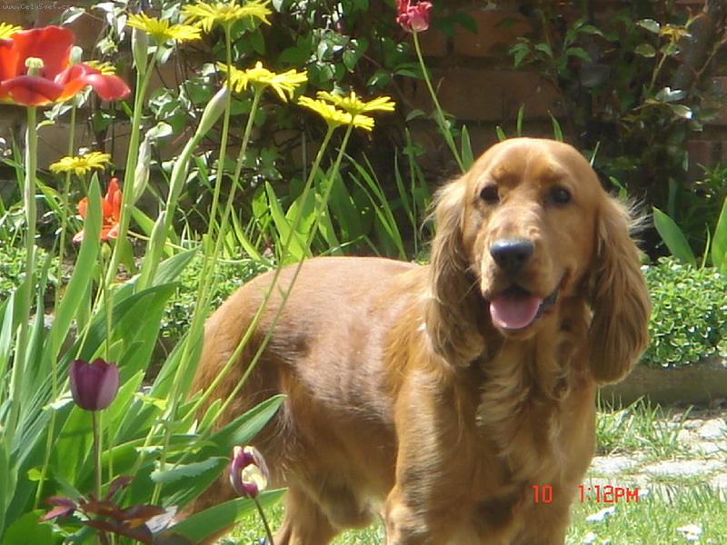Foto: Fredie