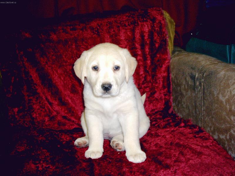 Foto: Tak to jsem j� Bessy