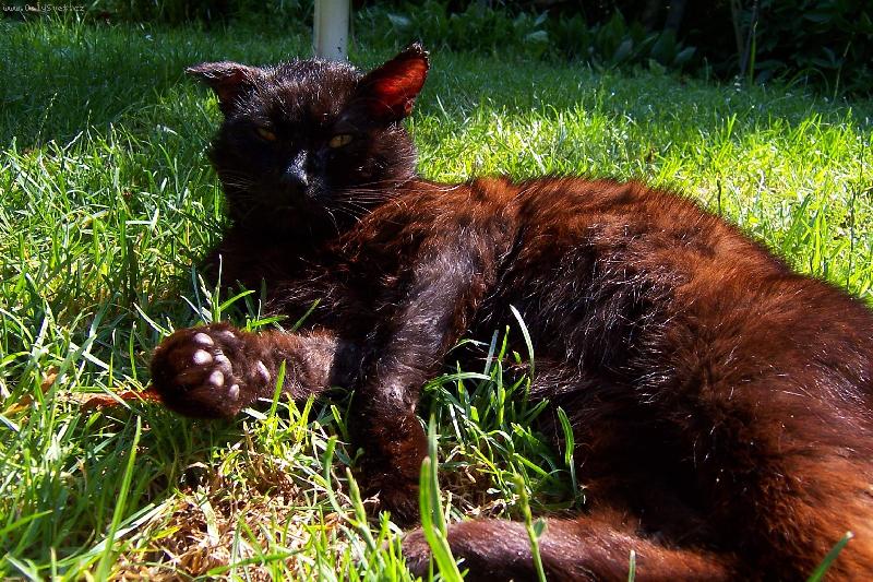 Foto: odpo�inek po bitv�