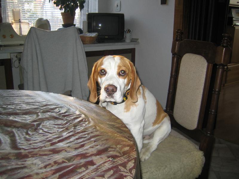 Foto: Alex-co bude dnes dobr�ho?