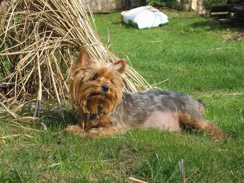 Foto: Peggynka-Leh�rko  !!!!