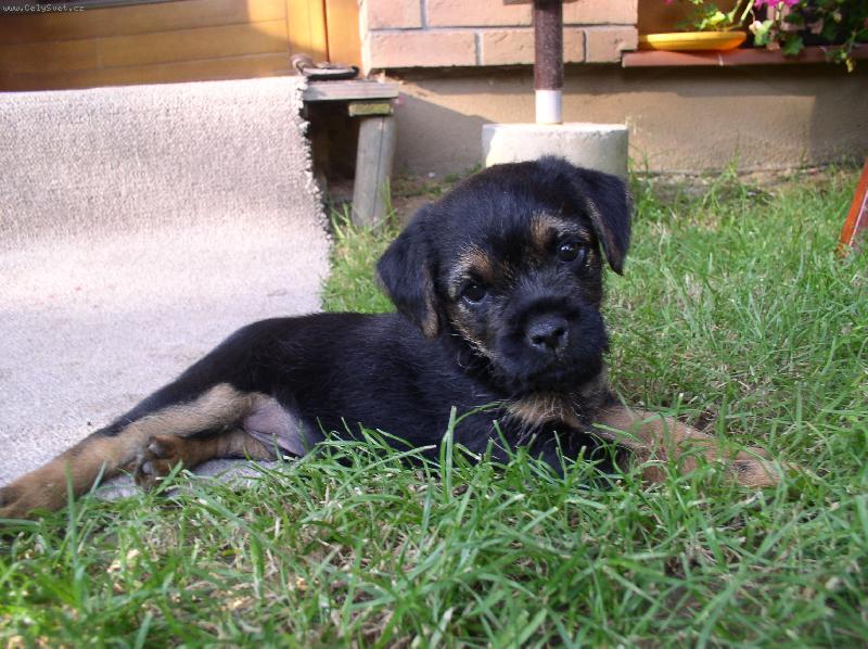 Foto: max�k-kdy� byl je�t� �t�n�kto