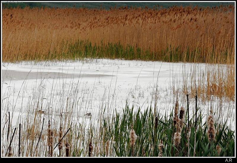 Foto: Rybn�k z kaolinu