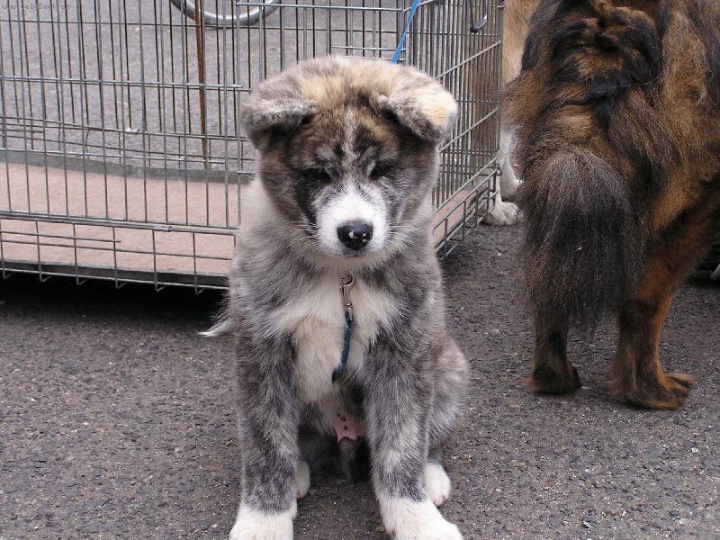 Foto: Ply���ek