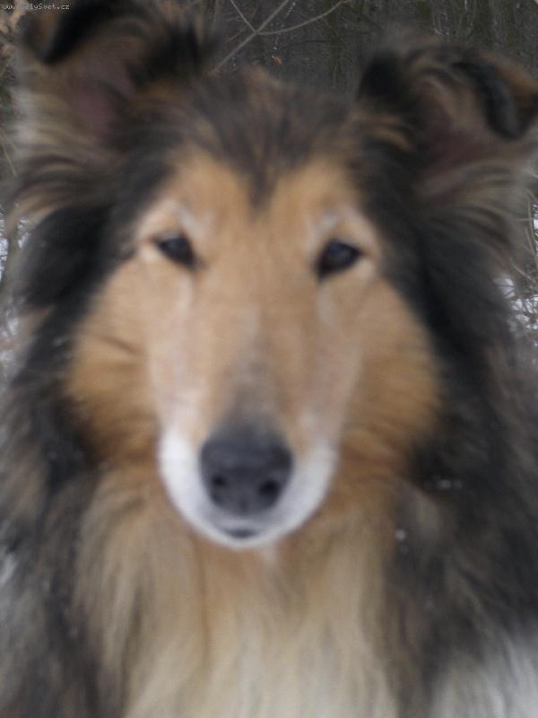 Foto: Beky-20.2. 2006