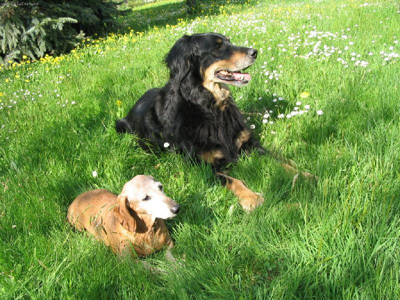 Foto: K�mo�ky-Jsme za jedno