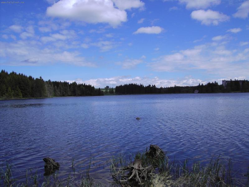 Foto: rybn�k-Medlov