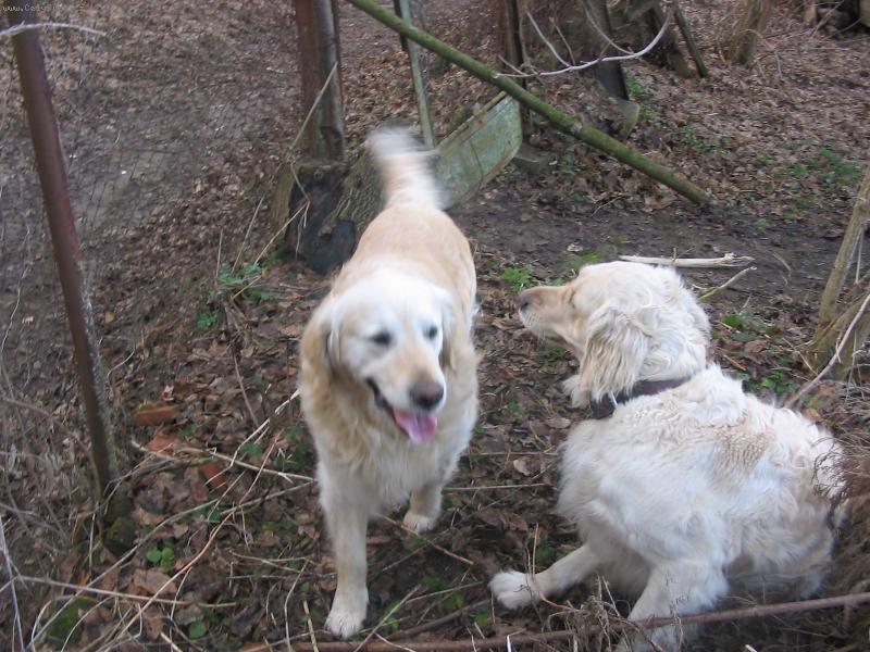 Foto: mila�ci-juuuu nejsou k se�rani....