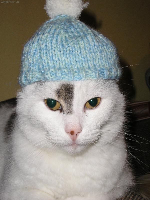 Foto: Zima u� m� nep�ekvap�