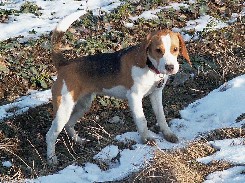 Foto: posledn� sn�h