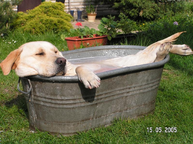 Foto: Benny-Pohodi�ka