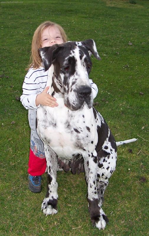 Foto: A te� si pro m� poj�te