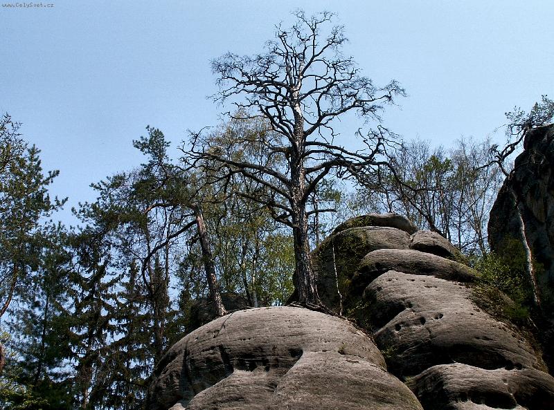 Foto: K��ov� vrch