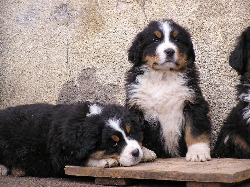 Foto: Arny a Aron-No nejsou roztomil�