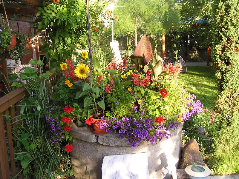 Foto: l�to v zahrad�