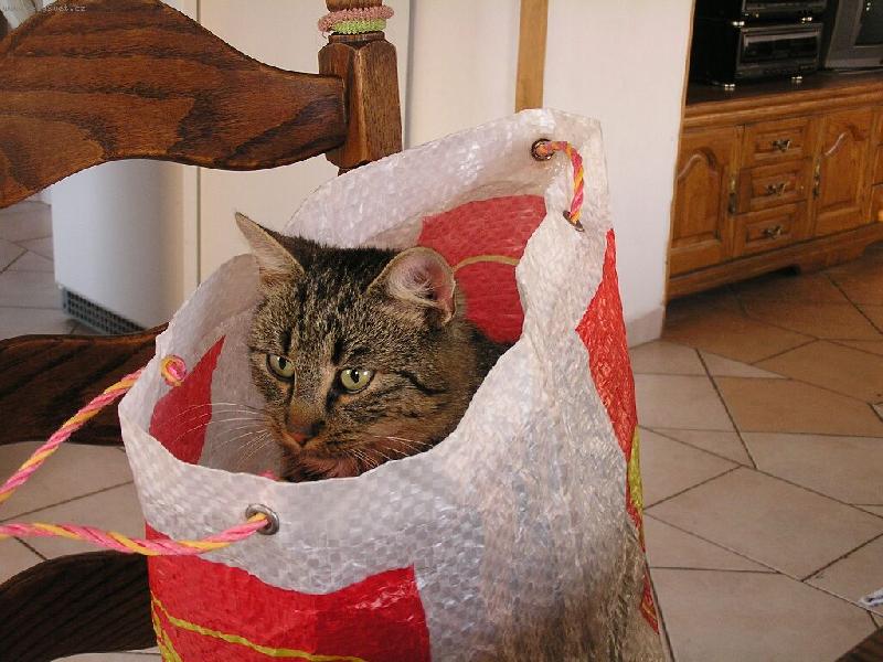 Foto: m� r�d ta�ky:)