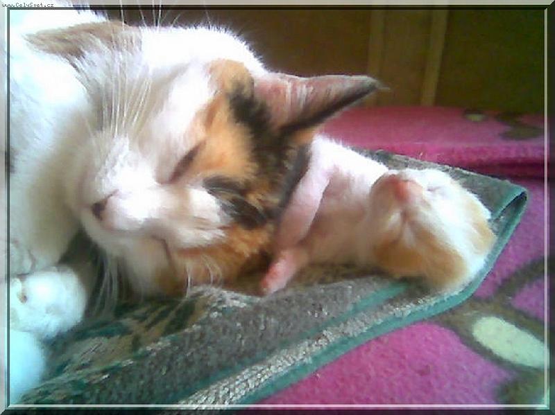 Foto: Majda a mim�o