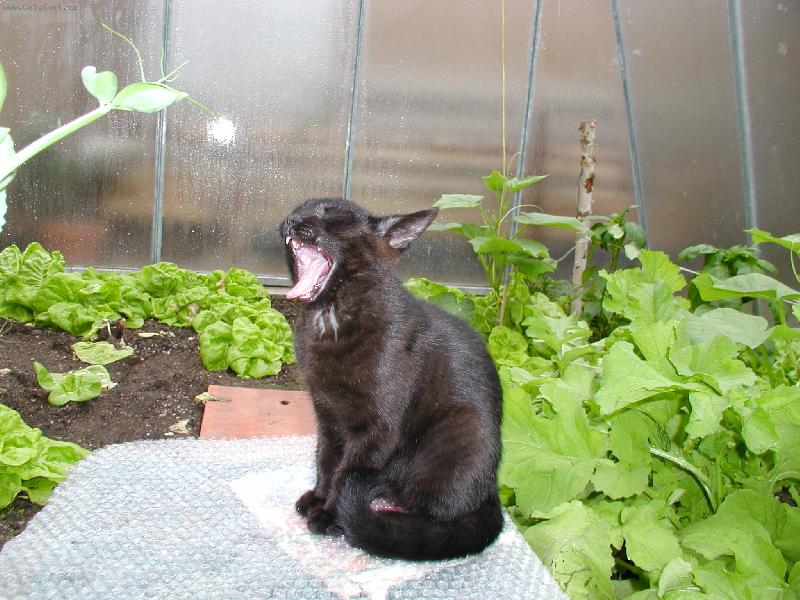 Foto: uuuu������������