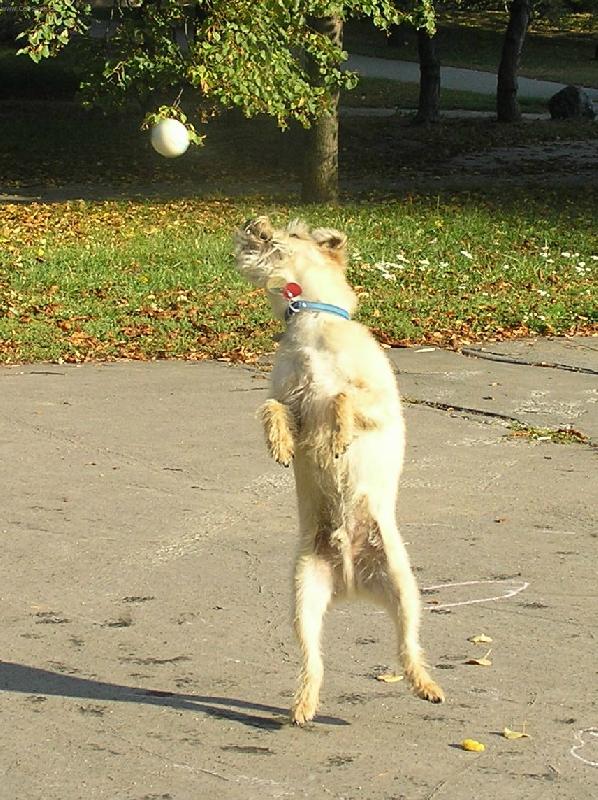 Foto: Chytaj�c� �mudla