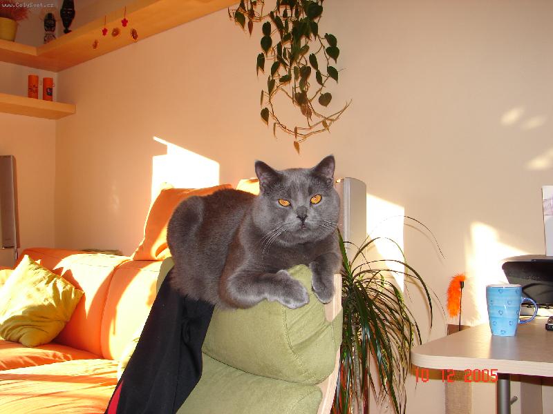 Foto: Sindib�d - siesta