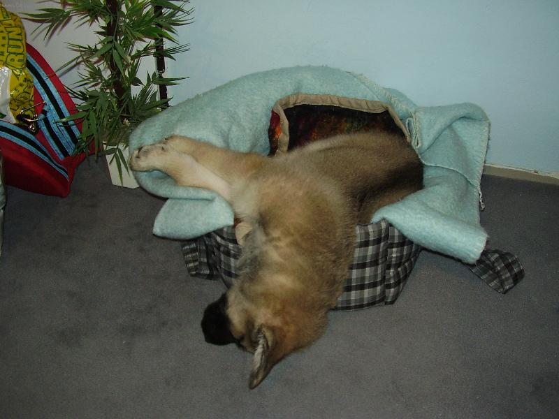 Foto: Roxi�ek-chy�te m�....