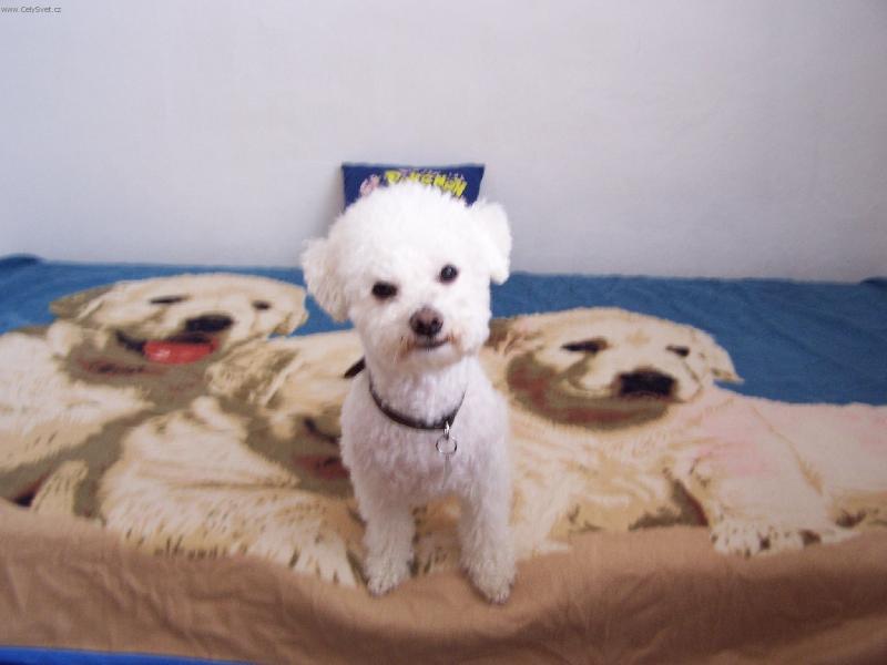 Foto: Mazl��ek-Bi�onek Kenny