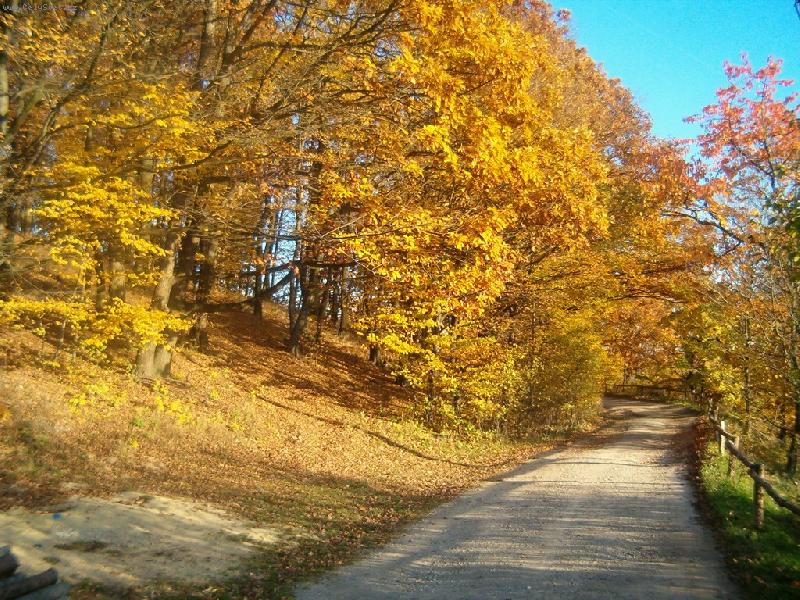 Foto: Podzim 2005,Ho�ice/BK