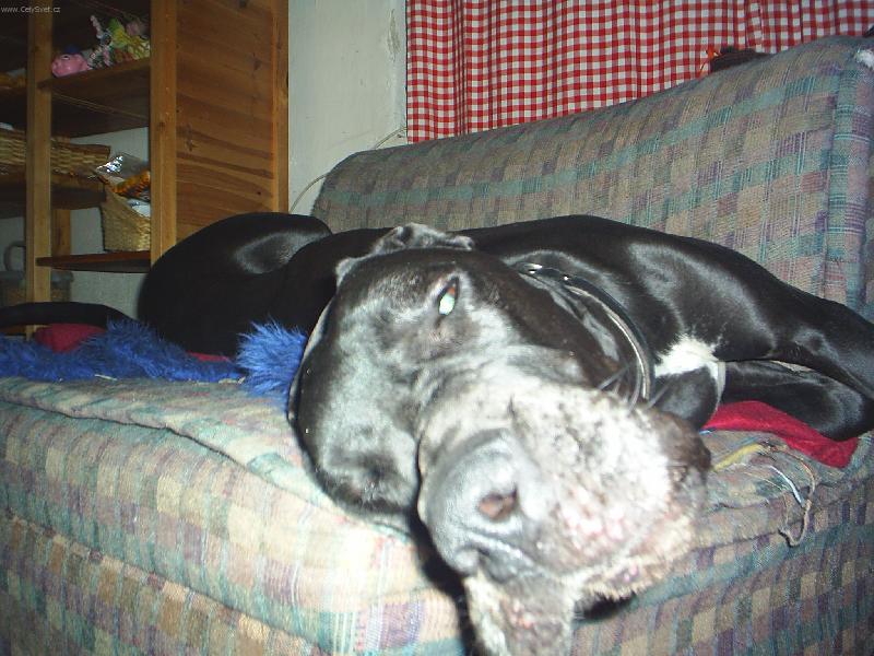 Foto: Caramelka-Neru�it sp�m...!