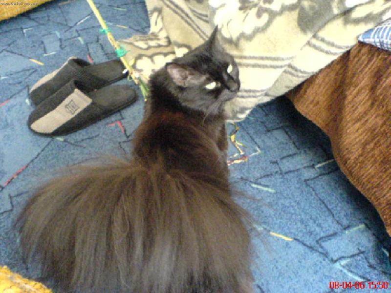 Foto: n� mazl��ek