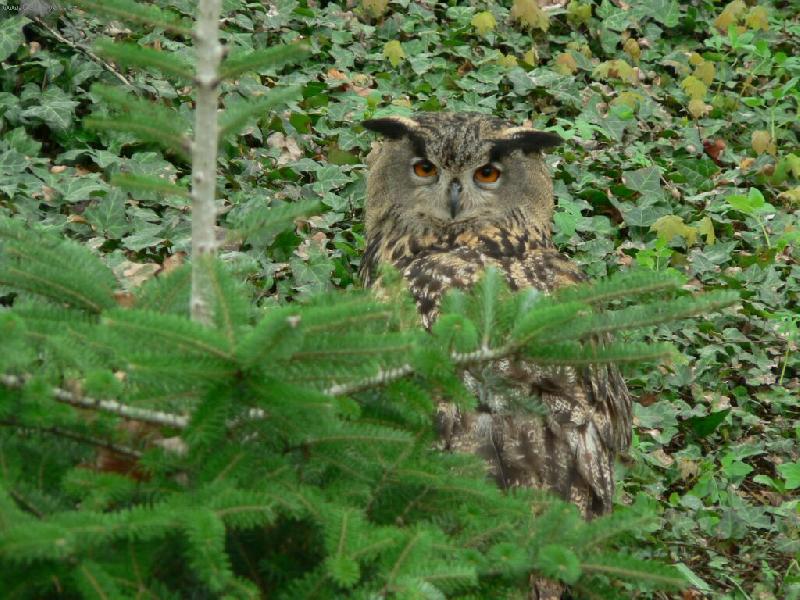 Foto: ..to kouk�m!