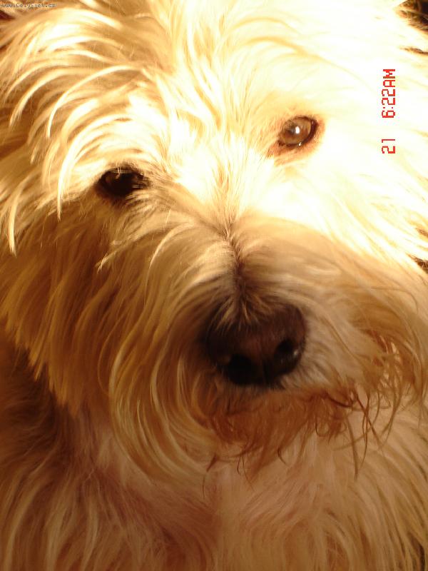 Foto: Alex-Pohodi�ka