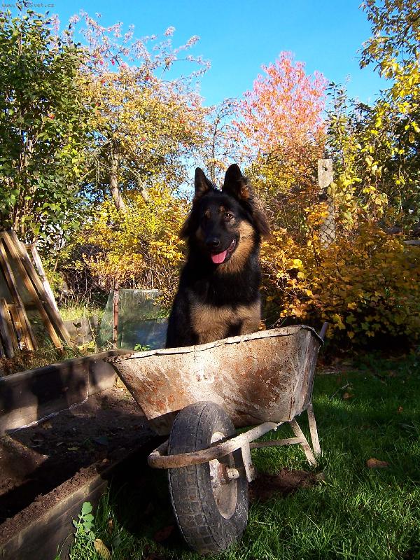 Foto: tvrd� pr�ce k�mo!