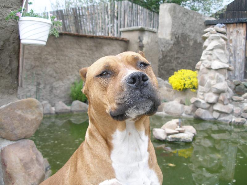 Foto: Kesynka s �sm�vem