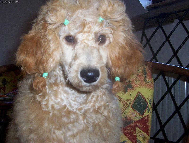 Foto: Eli-To jsem �anan� !!!!!!!!!!!!!!!!!