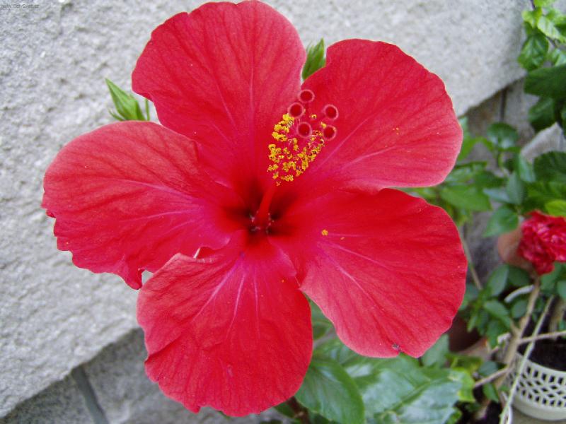 Foto: Ibi�ek-babi�ky chlouba