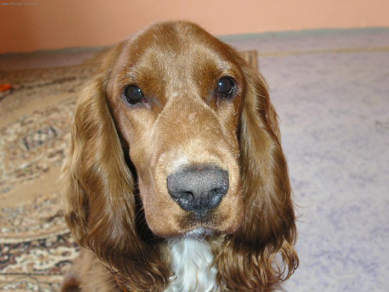 Foto: Sam�k-jen tak