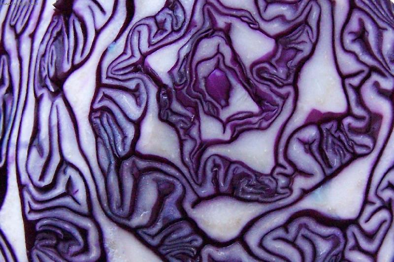 Foto: ...zel� vole-no jo no, zel�.