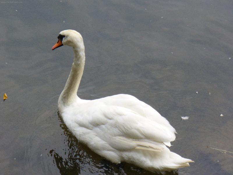 Foto: Labu�-Na proch�zce