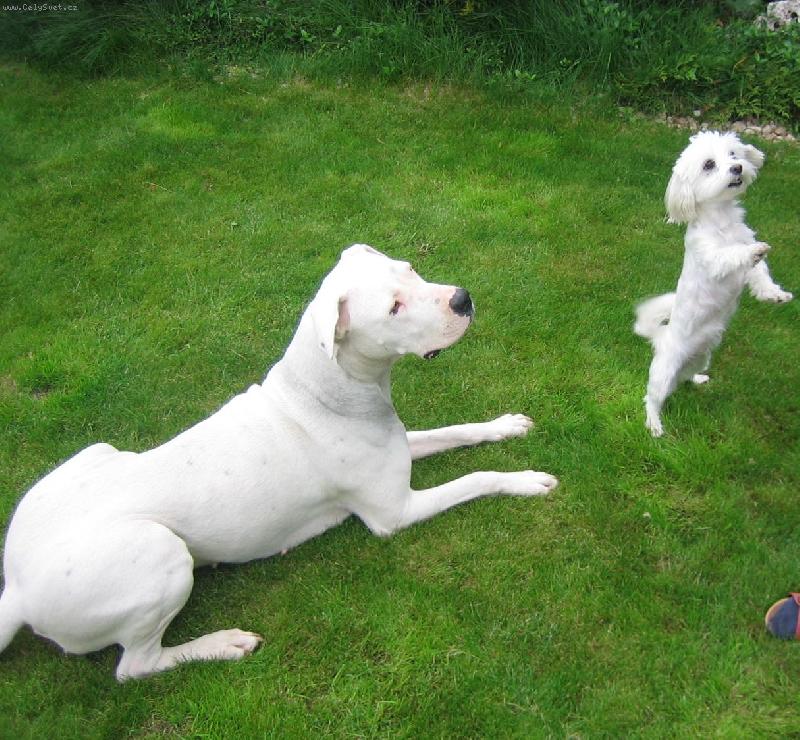 Foto: Jsem mlad��, ale rozumn�j��...