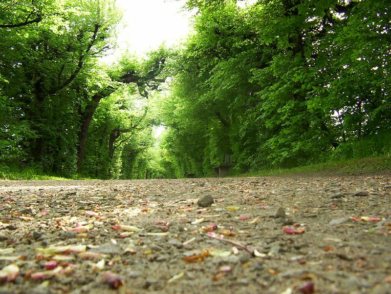 Foto: nekone�ny p��b�h :)