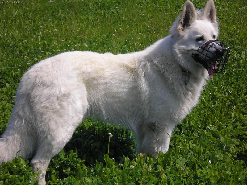 Foto: Jon�ek-Str�ce n�co vid� v d�lce