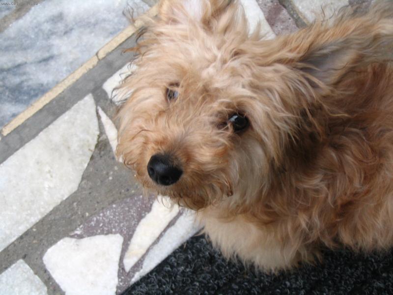 Foto: Co to sly��m?-:0)