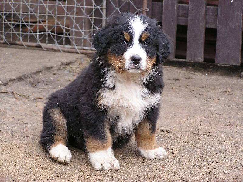 Foto: Moudr� pohled