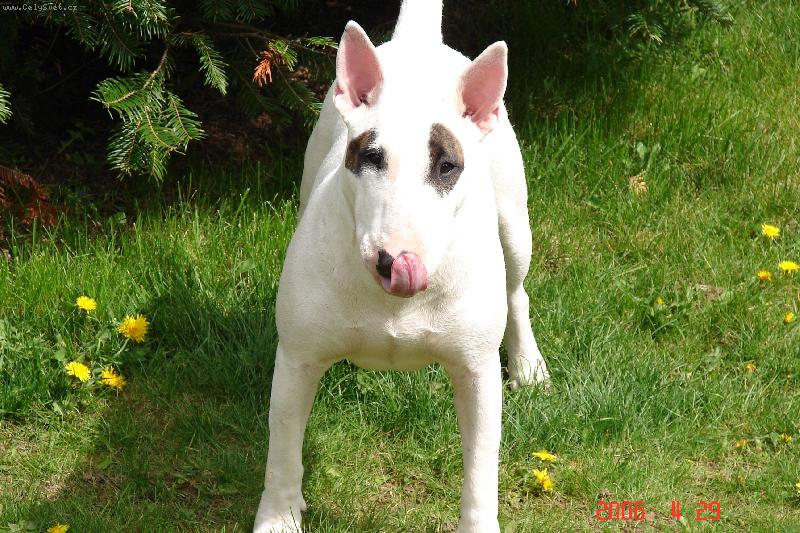 Foto: Dej mi kousek...