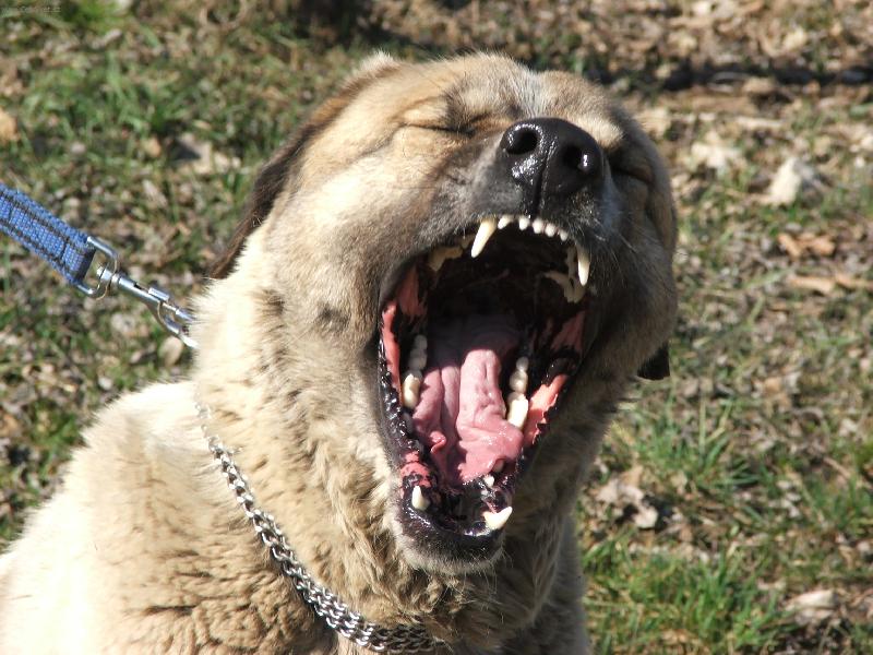 Foto: �sm�v, pros�m. Nebo ��kleb?