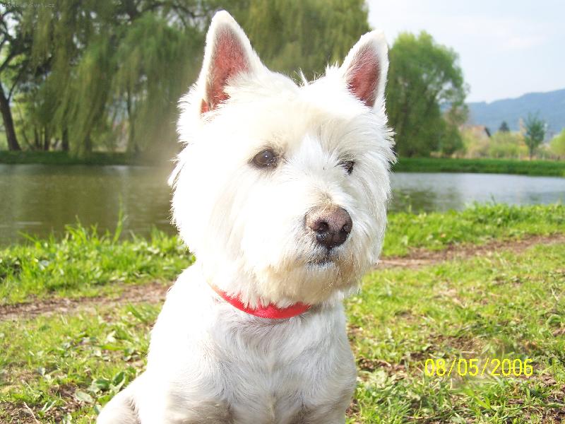 Foto: Aischa-milacek